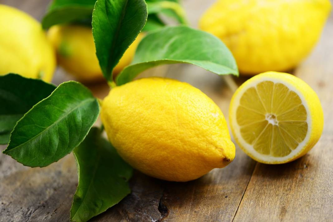 Limonun değil fiyatının suyu çıktı! Limonu durdurabilene aşk olsun - Resim: 10